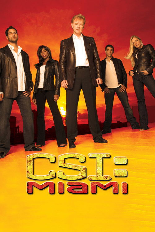 Kriminálka Miami — poster