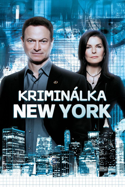 Kriminálka New York — poster