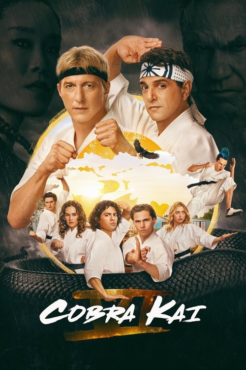 Cobra Kai — poster