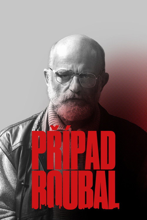 Případ Roubal — poster