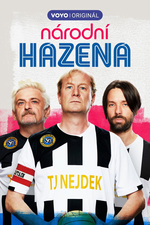 Národní házená — poster