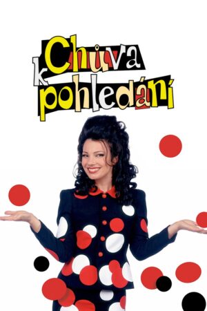 Chůva k pohledání