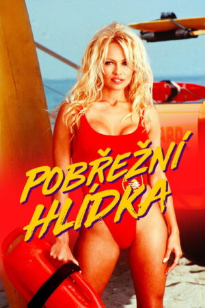Pobřežní hlídka