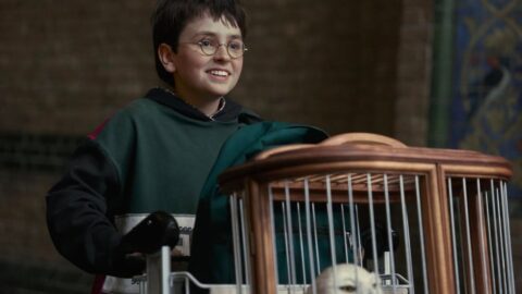 Dominic McLaughlin jako Harry Potter v novém seriálu HBO