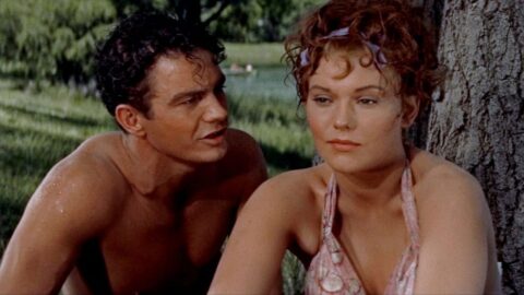 Kim Novak ve filmu Picnic (1955)