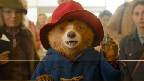 Medvídek Paddington s červeným kloboukem a modrým kabátem mává za sklem