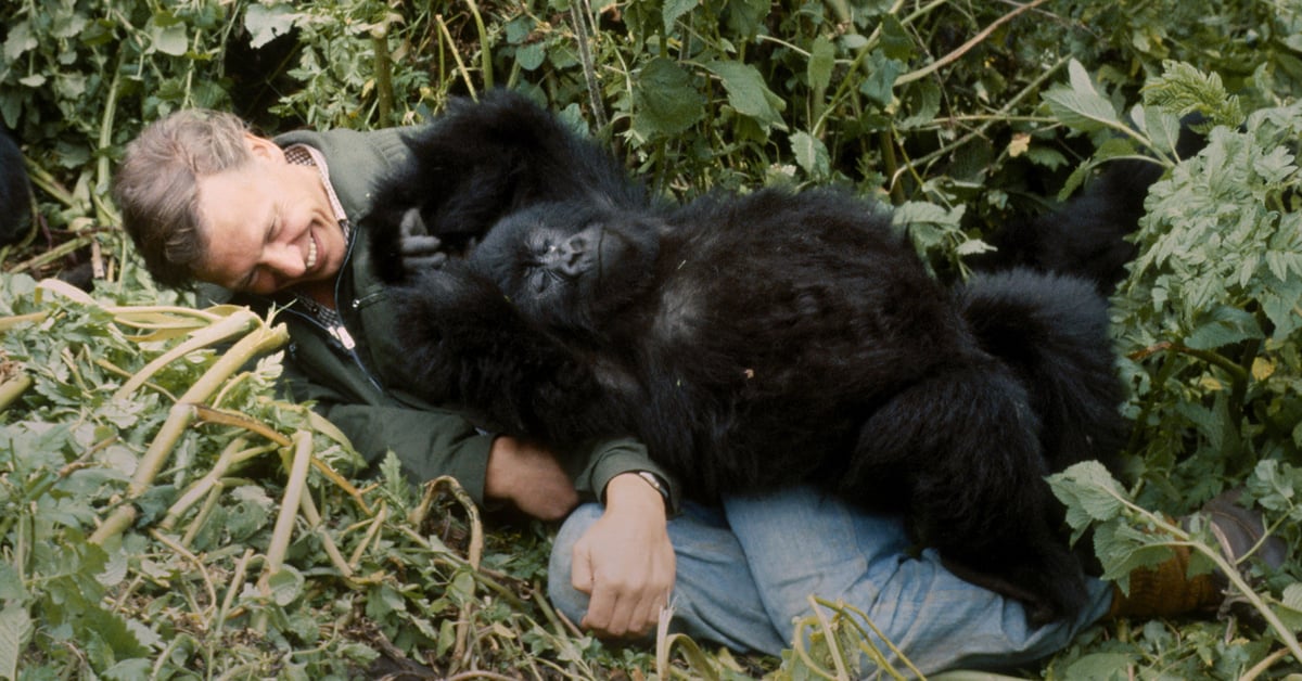 David Attenborough, legendární přírodovědec a dokumentarista