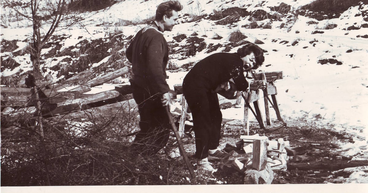 Jiřina Bohdalová, česká herečka