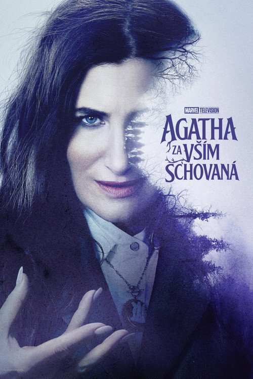 Agatha za vším schovaná — poster