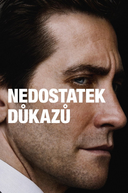 Nedostatek důkazů — poster