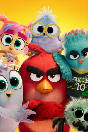 Angry Birds ve filmu 3