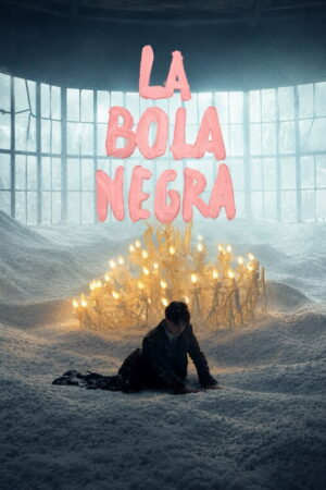 La bola negra