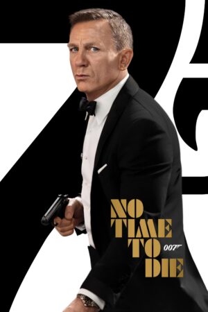 Není čas zemřít — poster