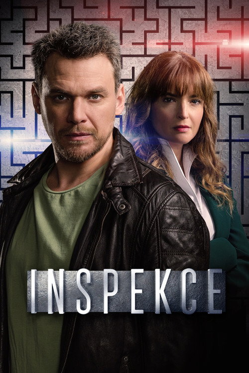 Inspekce — poster