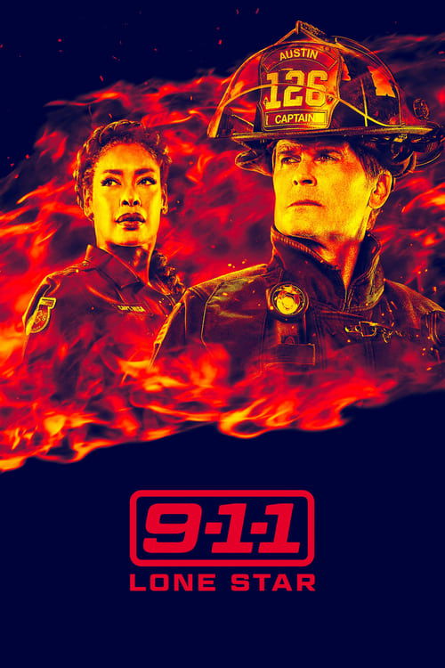 V plamenech — poster