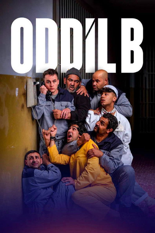 Oddíl B — poster