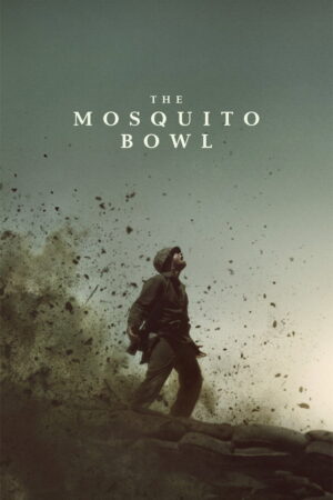 The Mosquito Bowl