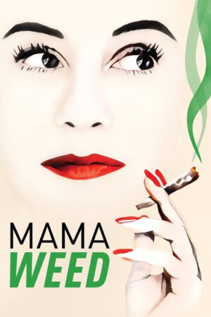 Kmotra